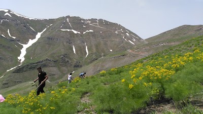 Belediye Parkı