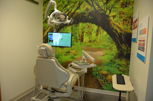 Tiny Town Smiles Dentistry - Thumbnail