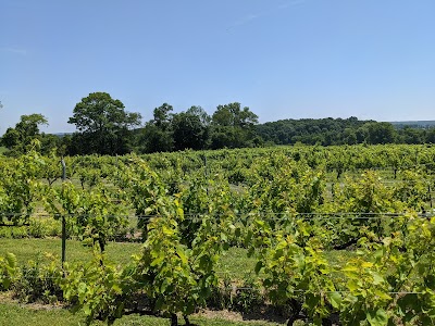 Old York Cellars