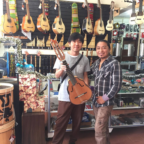 LA CASA DEL BANDOLIN by null