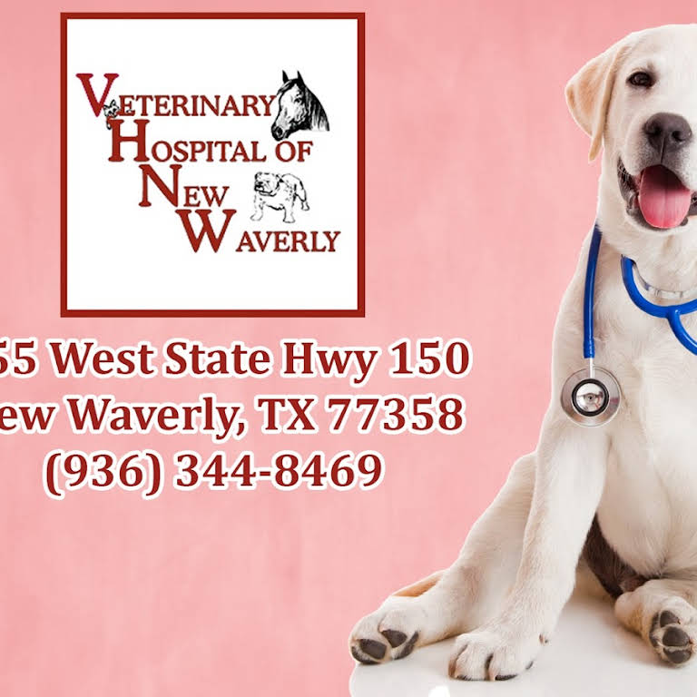 Veterinary Hospital of New Waverly - Veterinarian in New Waverly