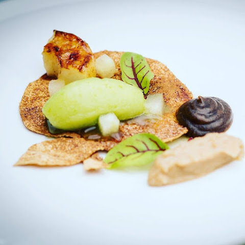 The Three Oaks by null