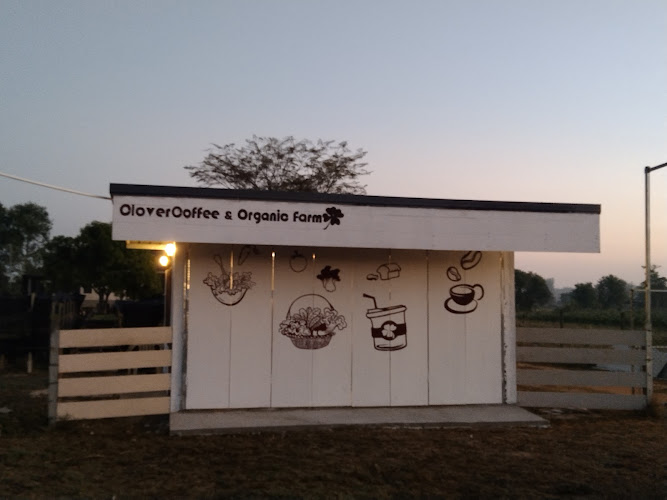 Clover coffee & organic farm โคลเวอร์คอฟฟี่&ผักปลอดสาร