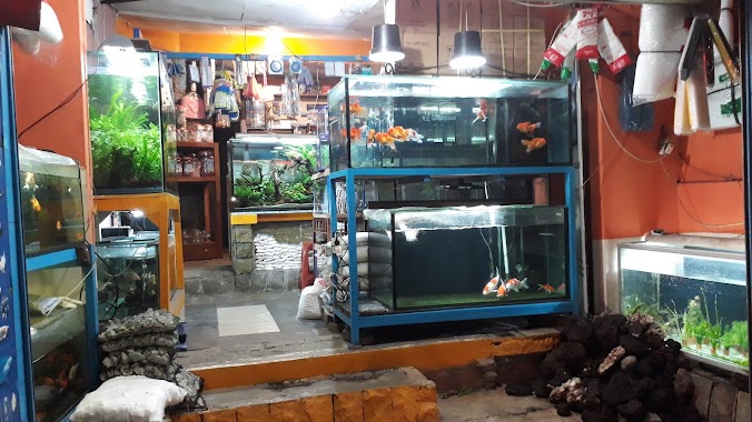 Barito Ornamental Fish Aquarium, Author: Marzuki Juki