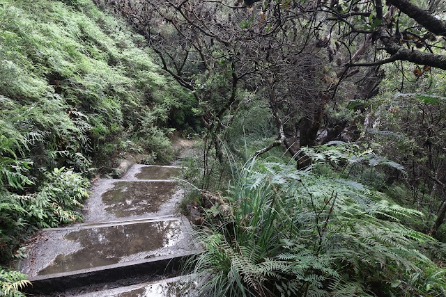 Wentworth Falls tracks Lookout