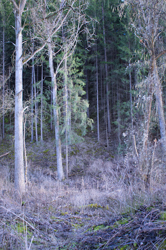 Rundweg - Visual