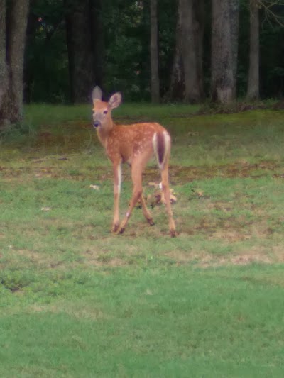 Fall Creek Falls Golf Course (TN Golf Trail)