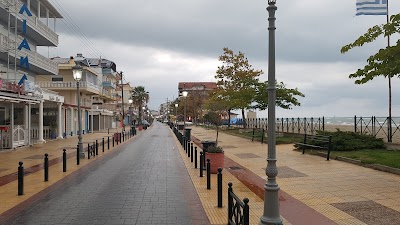 Photos of PARALIA