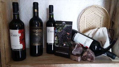 Photos of Quo Vadis Gourmet Italia