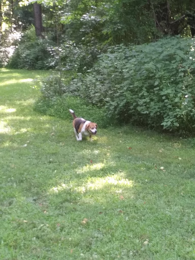 Doubs Woods Park - Thumbnail