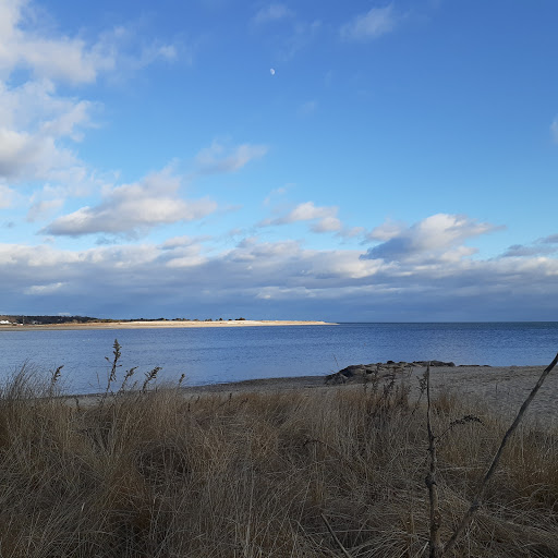 Sampsons Island Wildlife Sanctuary - Thumbnail