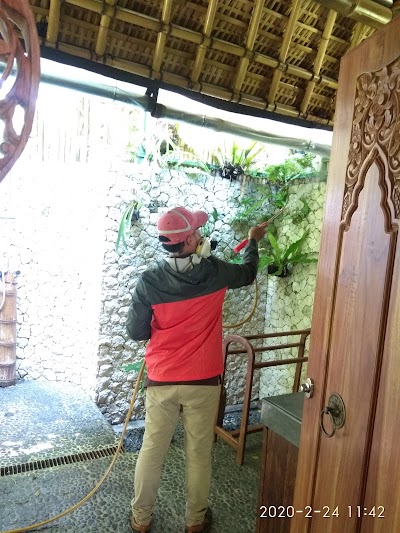 photo of Matahari Bali Pest & Termite Control