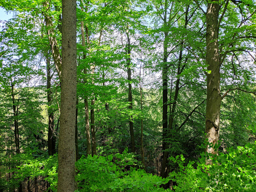 Feuersteine - Visual