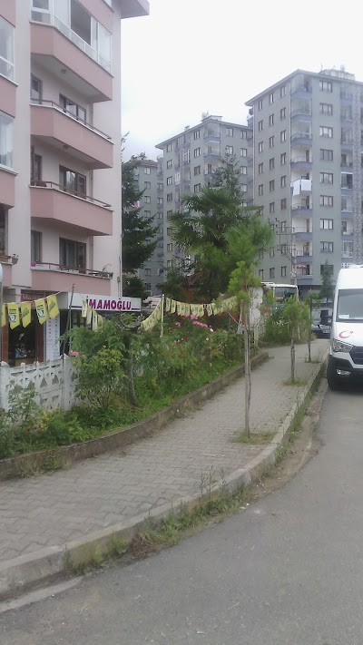 Photos of ROTA GAYRİ MENKUL