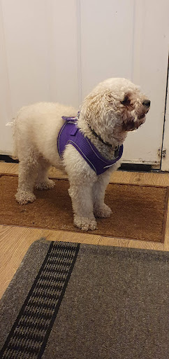 Banisters pets shop Gallery - United Kingdom