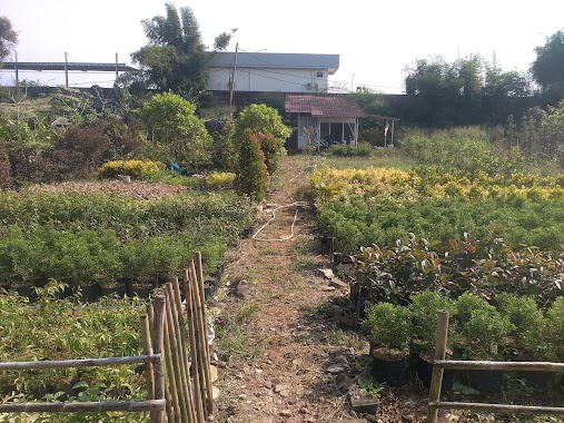 Araind Nursery,taman Permata Buana, Author: Adityas D Susatio