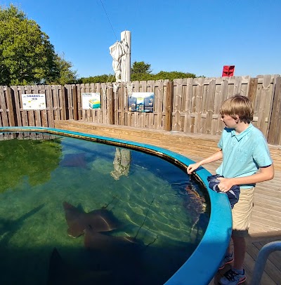 The Estuarium at Dauphin Island Sea Lab