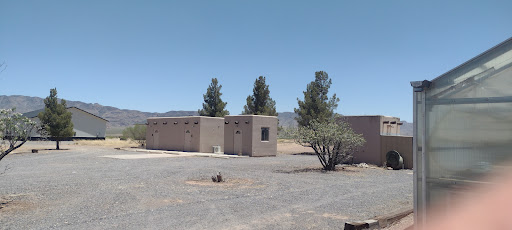 Gypsy Complex - Visual