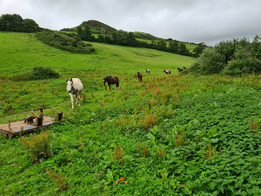 Comyn Farm - Visual