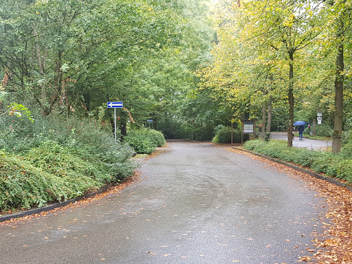 Parkplatz Parkfriedhof P11 - Thumbnail