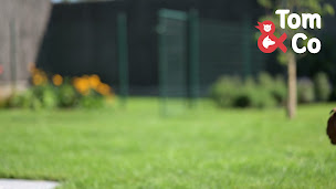 Photo n°2 de Tom&Co Blois - Animalerie - Dog Wash à Villebarou (Dresseur pour chiens)