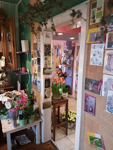 Blumen - Wilma Eggert