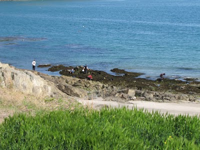 Photos of 설리해수욕장