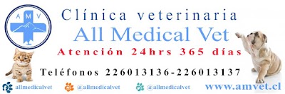 Photos of All Medical Vet