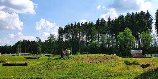 Ferien- und Ponyhof Eberhart - Thumbnail