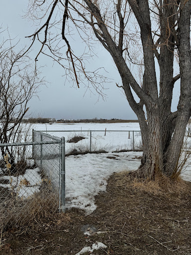 Lander Dog Park - Thumbnail