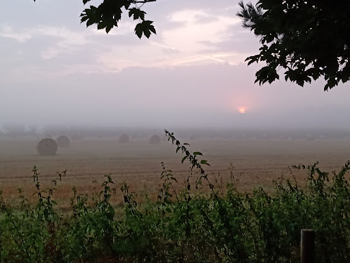 Herringfleet Scout Campsite - Thumbnail