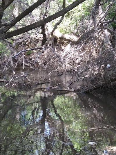Pocatello creek