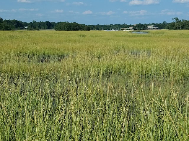 Marshlands Conservancy