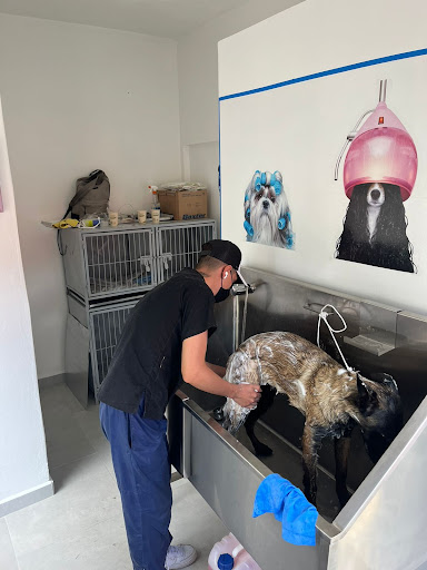 Centro Veterinario Zaragoza
