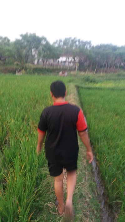 Photos of Lap Bola Bocah