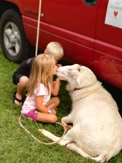 Heavenly Heart Farm & Mini Petting Zoo