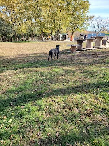 Brockville Dog Park - Thumbnail