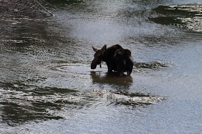 Teton Valley Foundation