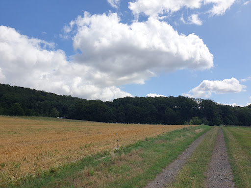 Friedhof Eisbergen, Stadt Porta Westfalica