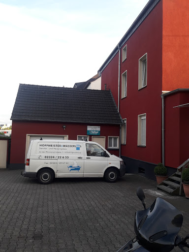 Vaillant Hoffmeister & Wasserloos - Thumbnail