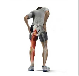 Photo n°20 de cabinet d'Ostéopathie ROMAND Olivier à Vandoeuvre-lès-Nancy (Ostéopathe)