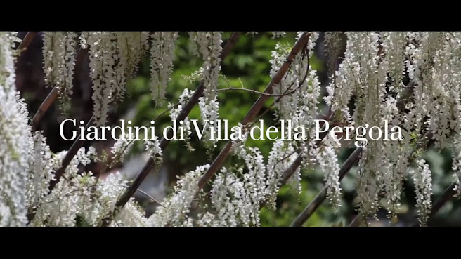 Grandi Giardini Italiani by null