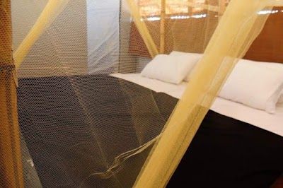 Photos of Glamping ceylon