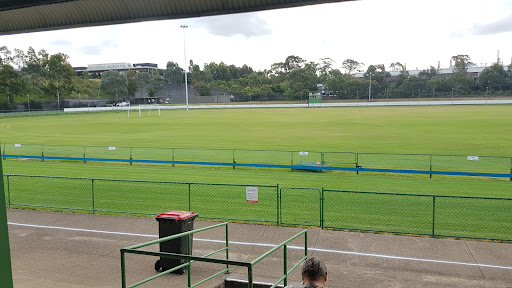 Potts Park Greyhounds Logo
