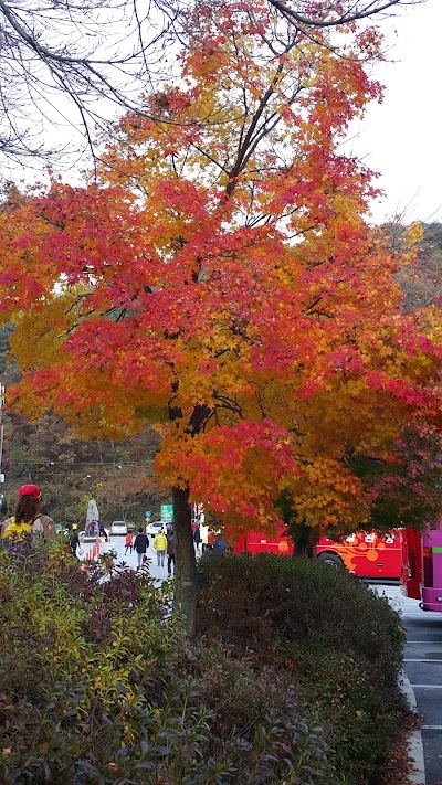 Photos of 산호가든농원