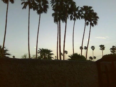 Photos of Thirteen Palms