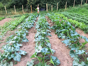 Photo n°4 de ferme de Grailler à Champis (Magasin d'alimentation bio)