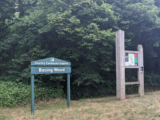 Basing Wood - Visual