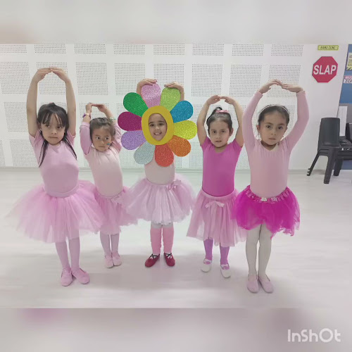 Opiniones de Escuela de Arte Danzaballet en Quito - Escuela de danza
