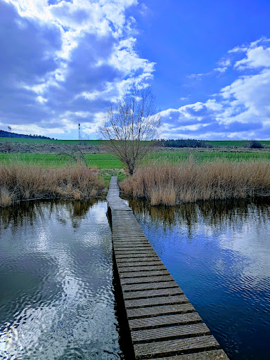Breitunger Seen - Visual